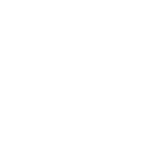 vSite